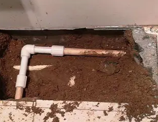 溧水测漏水哪家好