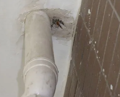 溧水漏水检测哪家好